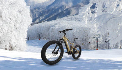 DengFu E06 Electric Carbon Frame Fat E-bike For Snow