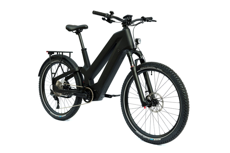 DengFu Winice E81 Carbon Ebike Dual-battery