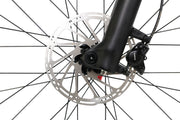 DengFu Winice E58 HARDTAIL Carbon Ebike 500W 17.5Ah 840Wh 29er  In Stock FREE Shipping USA