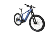 DengFu Winice E58 HARDTAIL Carbon Ebike 500W 17.5Ah 840Wh 29er  In Stock FREE Shipping USA