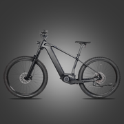 DengFu Winice E58 HARDTAIL Carbon Ebike 500W 17.5Ah 840Wh 29er  In Stock FREE Shipping USA