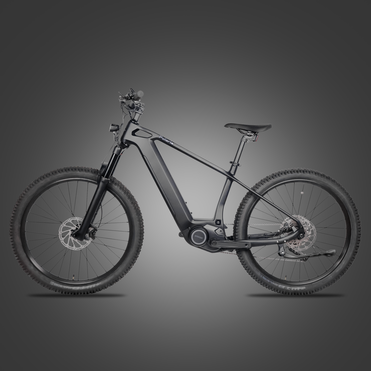 DengFu Winice E58 HARDTAIL Carbon Ebike 500W 17.5Ah 840Wh 29er  In Stock FREE Shipping USA