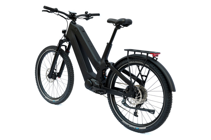 DengFu Winice E81 Carbon Ebike Dual-battery