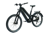 DengFu Winice E81 Carbon Ebike Dual-battery