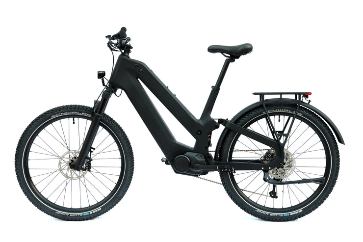 DengFu Winice E81 Carbon Ebike Dual-battery