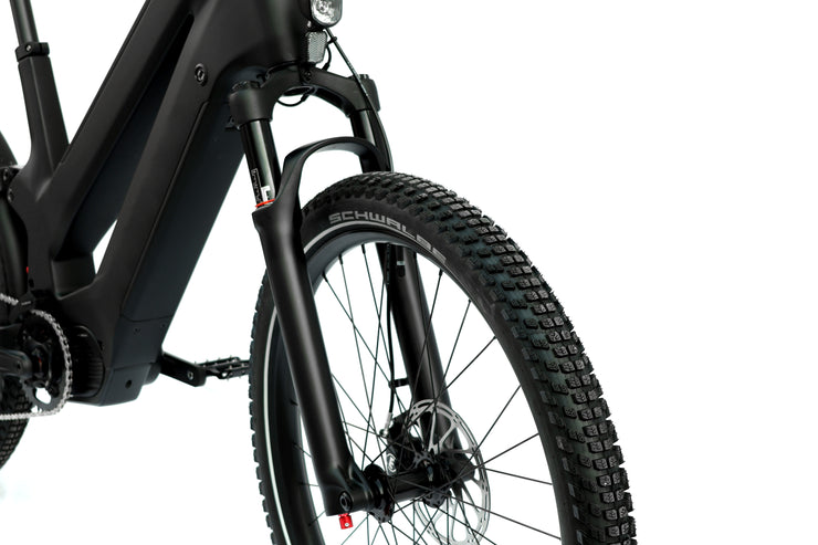 DengFu Winice E81 Carbon Ebike Dual-battery