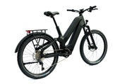 DengFu Winice E81 Carbon Ebike Dual-battery