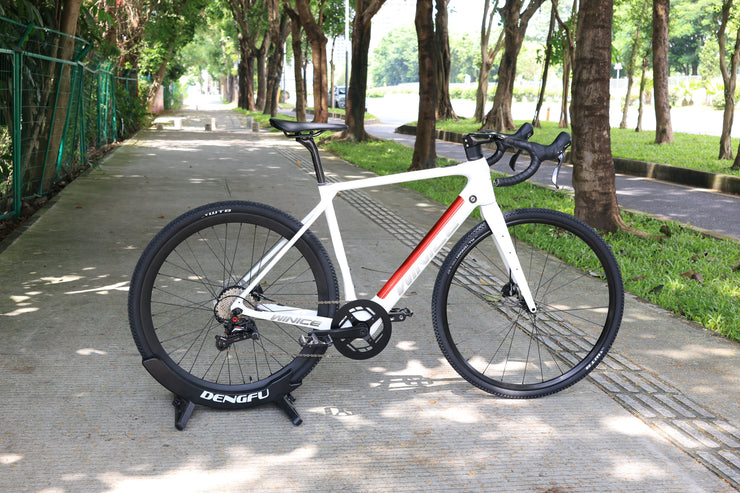 DengFu Winice E98 E-GRAVEL Carbon Ebike