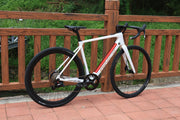 DengFu Winice E98 E-GRAVEL Carbon Ebike