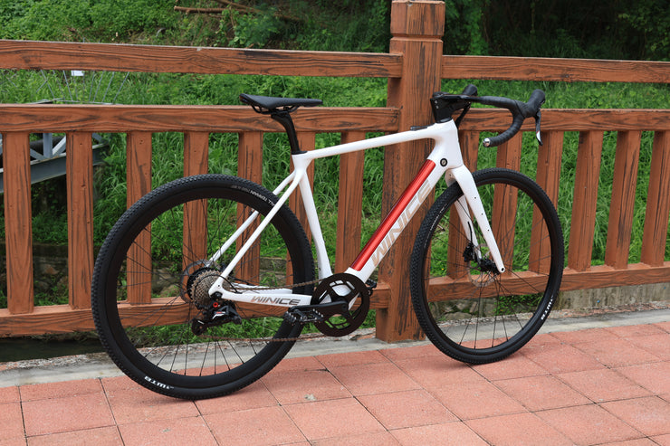 DengFu Winice E98 E-GRAVEL Carbon Ebike