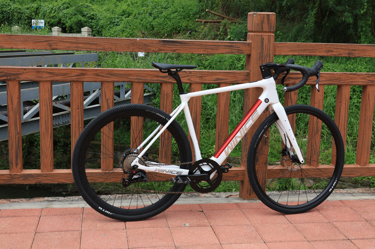 DengFu Winice E98 E-GRAVEL Carbon Ebike