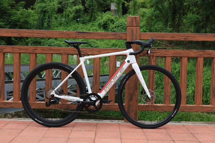 DengFu Winice E98 E-GRAVEL Carbon Ebike