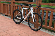 DengFu Winice E98 E-GRAVEL Carbon Ebike