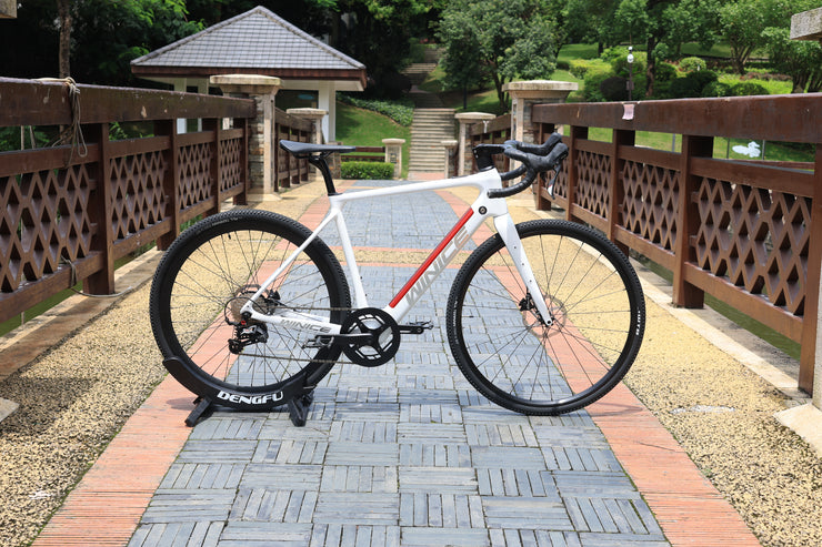 DengFu Winice E98 E-GRAVEL Carbon Ebike