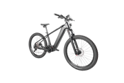 DengFu Winice E58 HARDTAIL Carbon Ebike 500W 17.5Ah 840Wh 29er  In Stock FREE Shipping USA