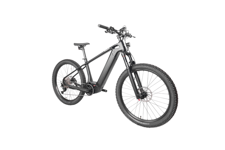 DengFu Winice E58 HARDTAIL Carbon Ebike 500W 17.5Ah 840Wh 29er  In Stock FREE Shipping USA