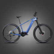 DengFu Winice E58 HARDTAIL Carbon Ebike 500W 17.5Ah 840Wh 29er  In Stock FREE Shipping USA