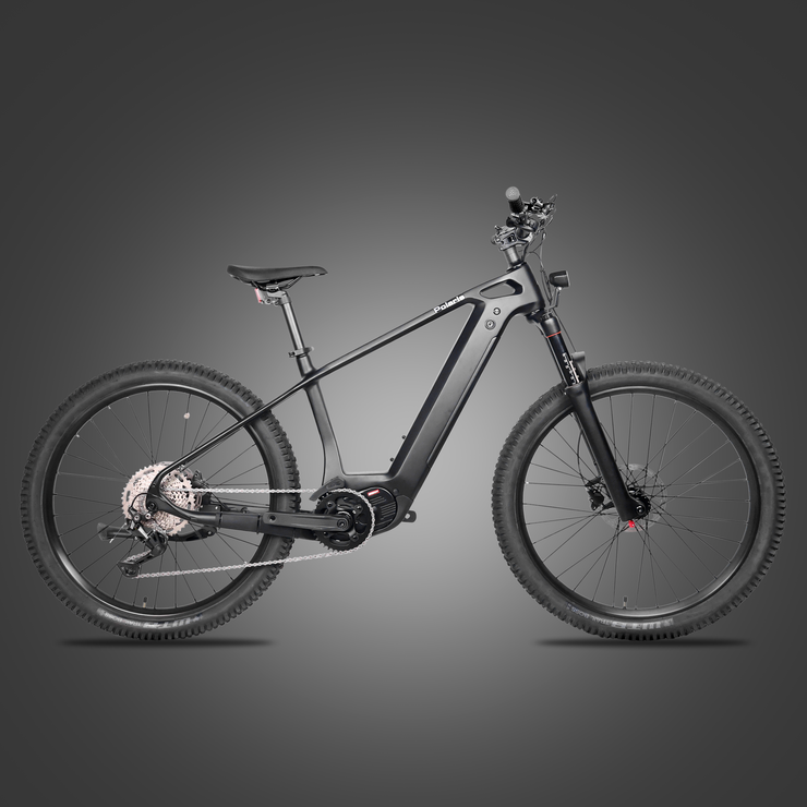 DengFu Winice E58 HARDTAIL Carbon Ebike 500W 17.5Ah 840Wh 29er  In Stock FREE Shipping USA