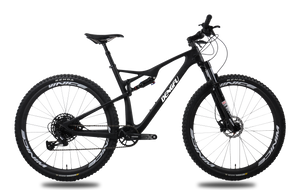 Carbon Frame Full Suspension XC Mountain Bike Factory Price 